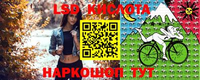 2c-b Рыбинск